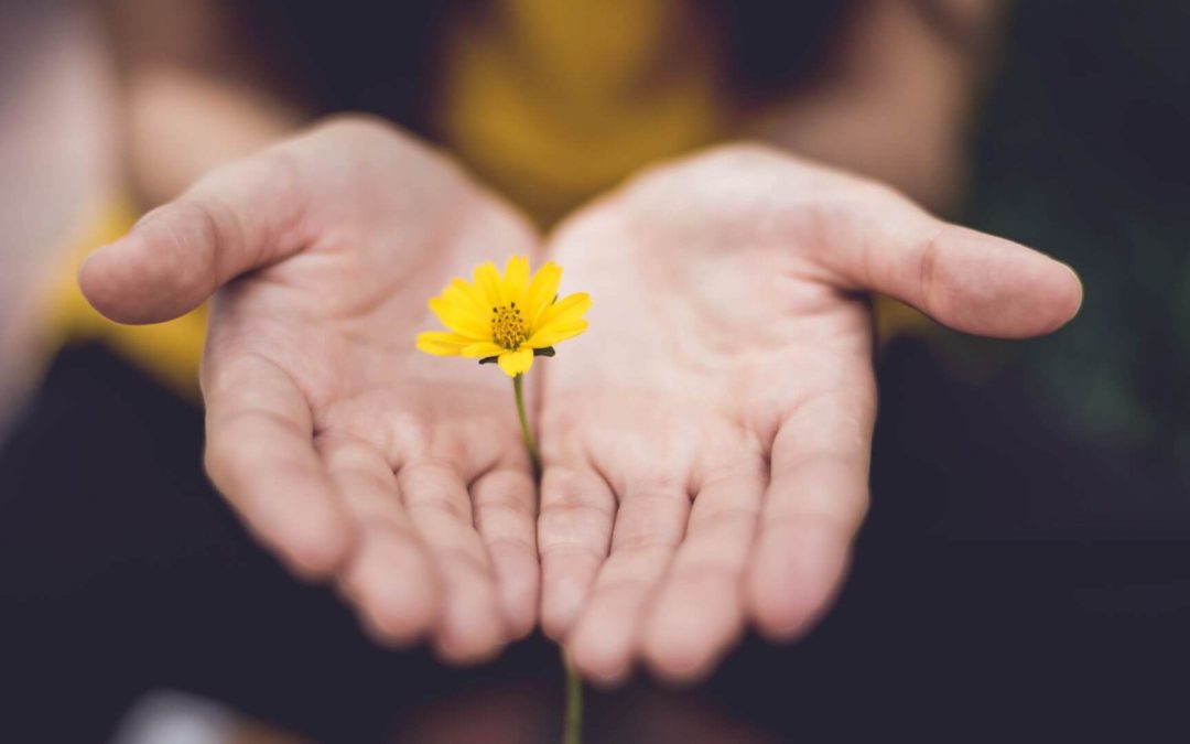Praktyka Wdzięczności – potężne narzędzie do budowania szczęścia. Jak praktykować wdzięczność krok po kroku?