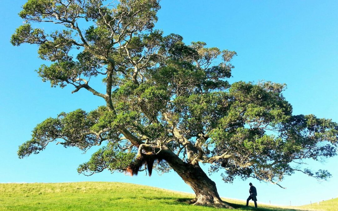 Czym jest szczęście? Odpowiedź, bez której nie dowiesz się jak być szczęśliwym (cz. 1/3)