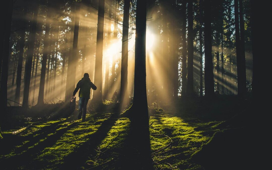 Czym jest szczęście? Odpowiedź, bez której nie dowiesz się jak być szczęśliwym (cz. 2/3)